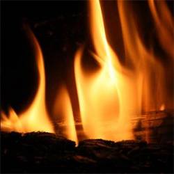 Procer Veneficus : The Cold Gloaming